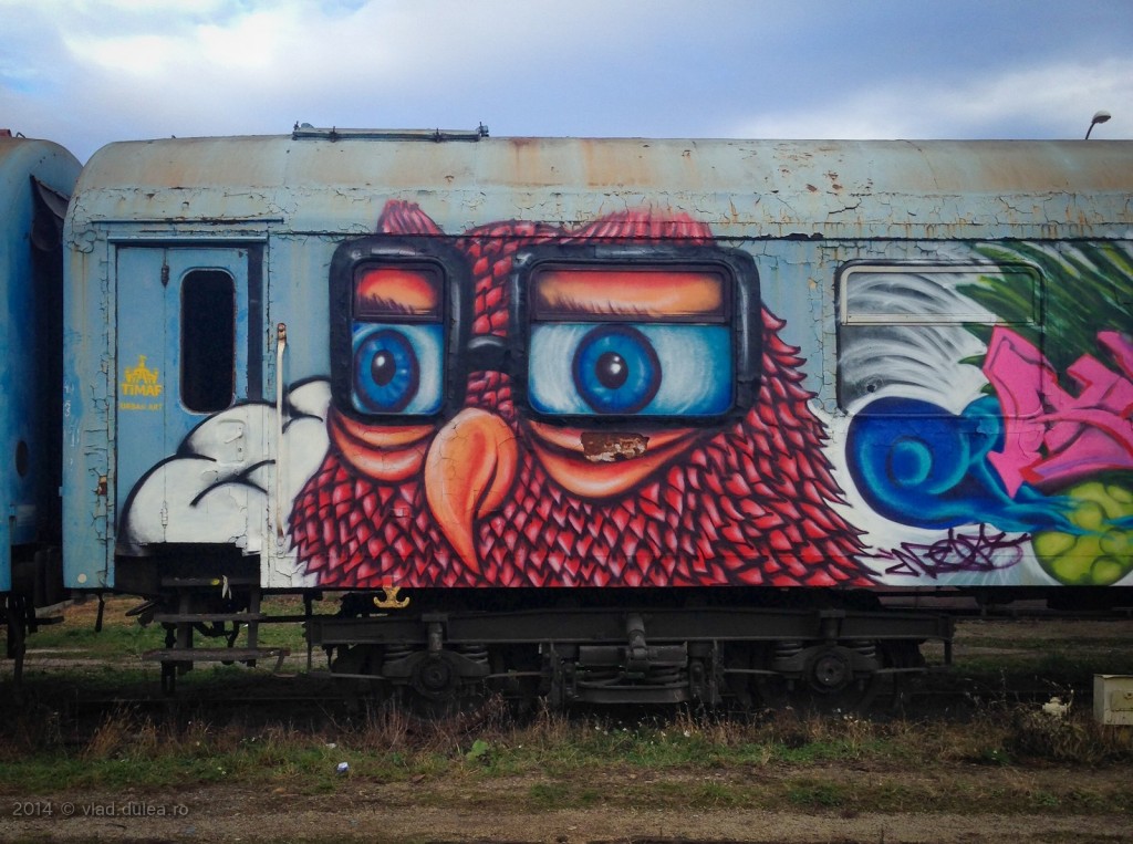 graffiti-tren-gara-cluj-IMG_2787