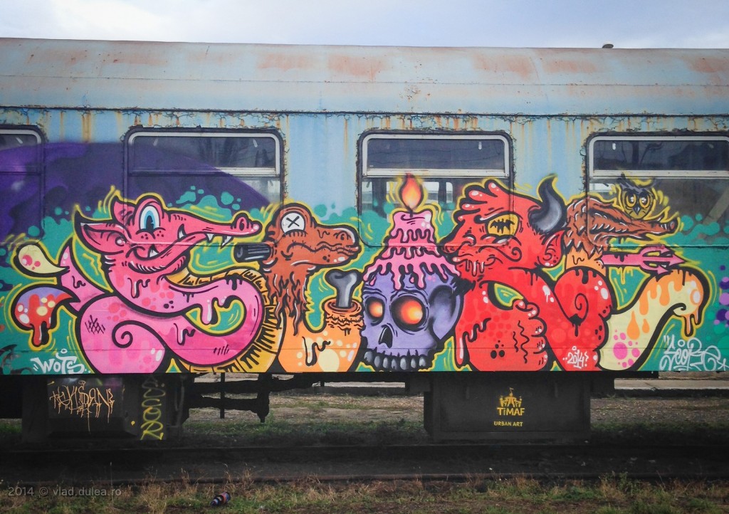 graffiti-tren-gara-cluj-IMG_2793