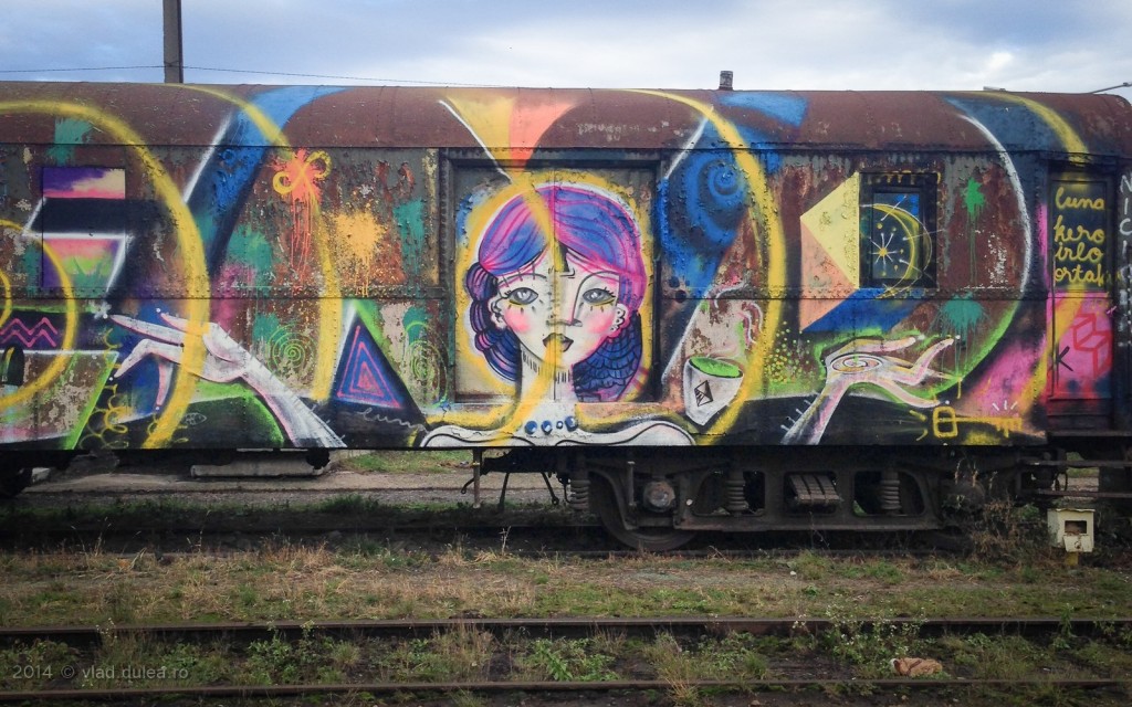 graffiti-tren-gara-cluj-IMG_2795